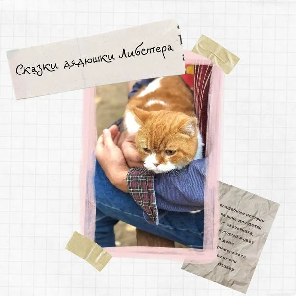 Сказки дядюшки Либстера