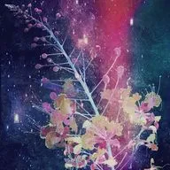 Не в этот раз!