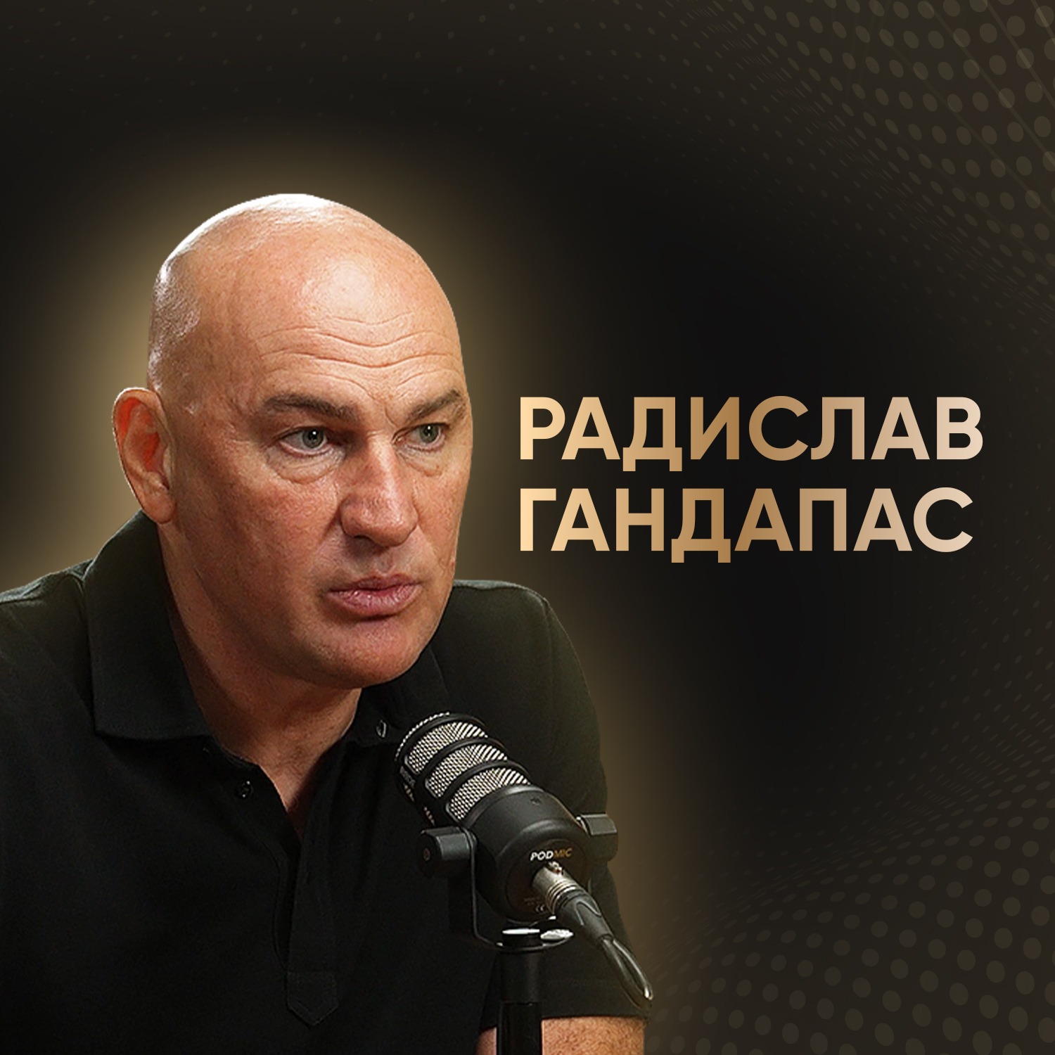 РАДИСЛАВ ГАНДАПАС: Каким должен быть лидер в эпоху перемен? episode artwork