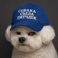 Собака съела биткоин
