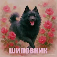 Голливуд любит только красивые диагнозы. В 2025 году психический диагноз - не болезнь. Это стратегия.