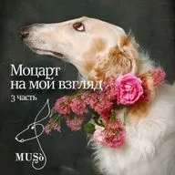 Моцарт на мой взгляд. 3 часть.