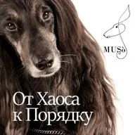 Путешествие от Хаоса к Порядку