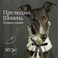 Прелюдии Шопена. Полароид эмоций.