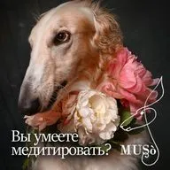 Вы умеете медитировать?