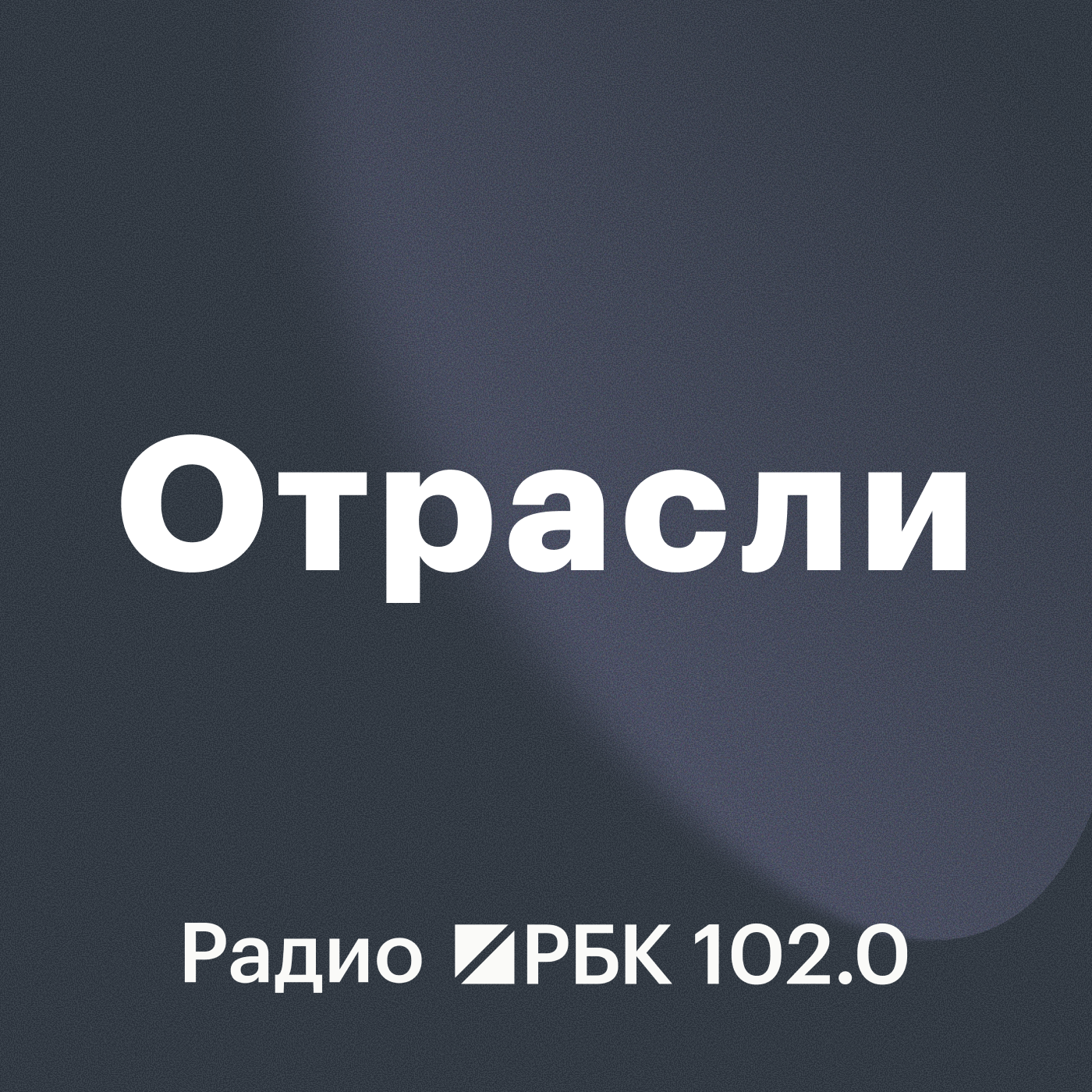 В Петербурге подвели итоги конкурса «Доверие потребителя - 2025». Радио РБК episode artwork