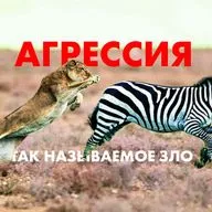 Агрессия: зачем нужна, как с ней справляться и ее роль в эволюции