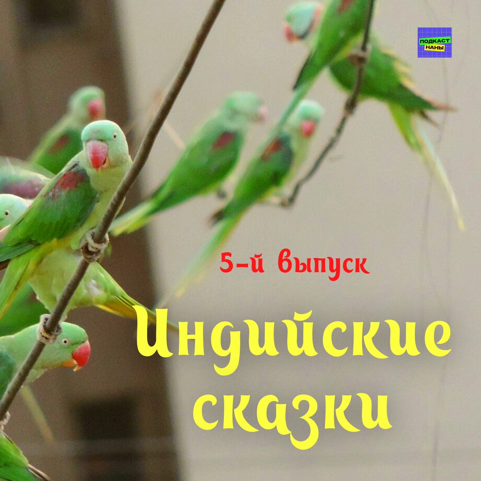 Невеста-попугай / Индийские сказки / 5-й выпуск / подкаст Наны episode artwork