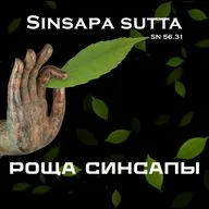 S2.ep.6 SuttaCentral: Роща Синсапы SN 56.31 Sisapavana сутта