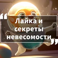 Космические истории. Сезон 1. Серия 8. Лайка и секреты невесомости.