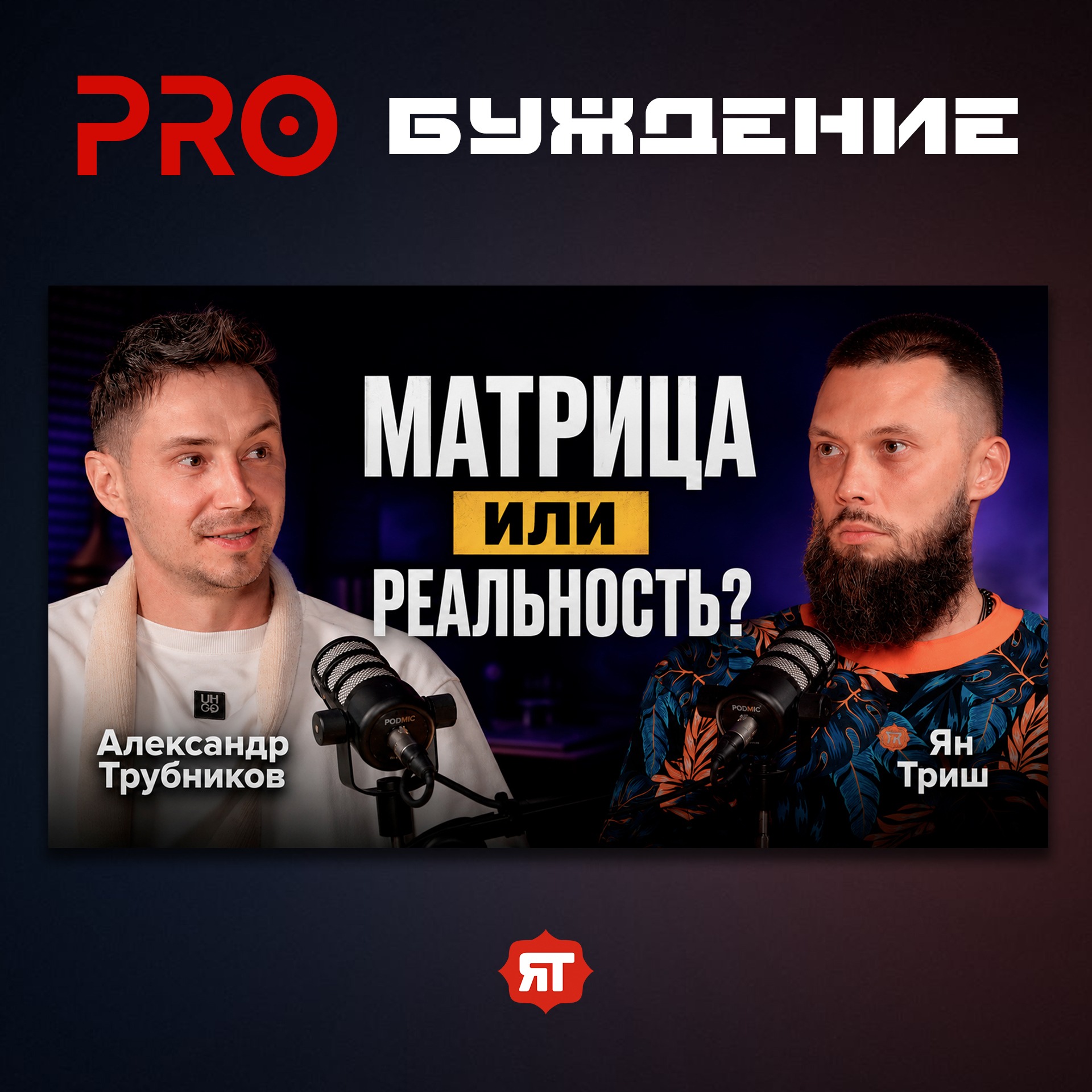 ЯН ТРИШ: как выйти из «матрицы», стать миллионером, ИИ, духовность, деньги и осознанность episode artwork
