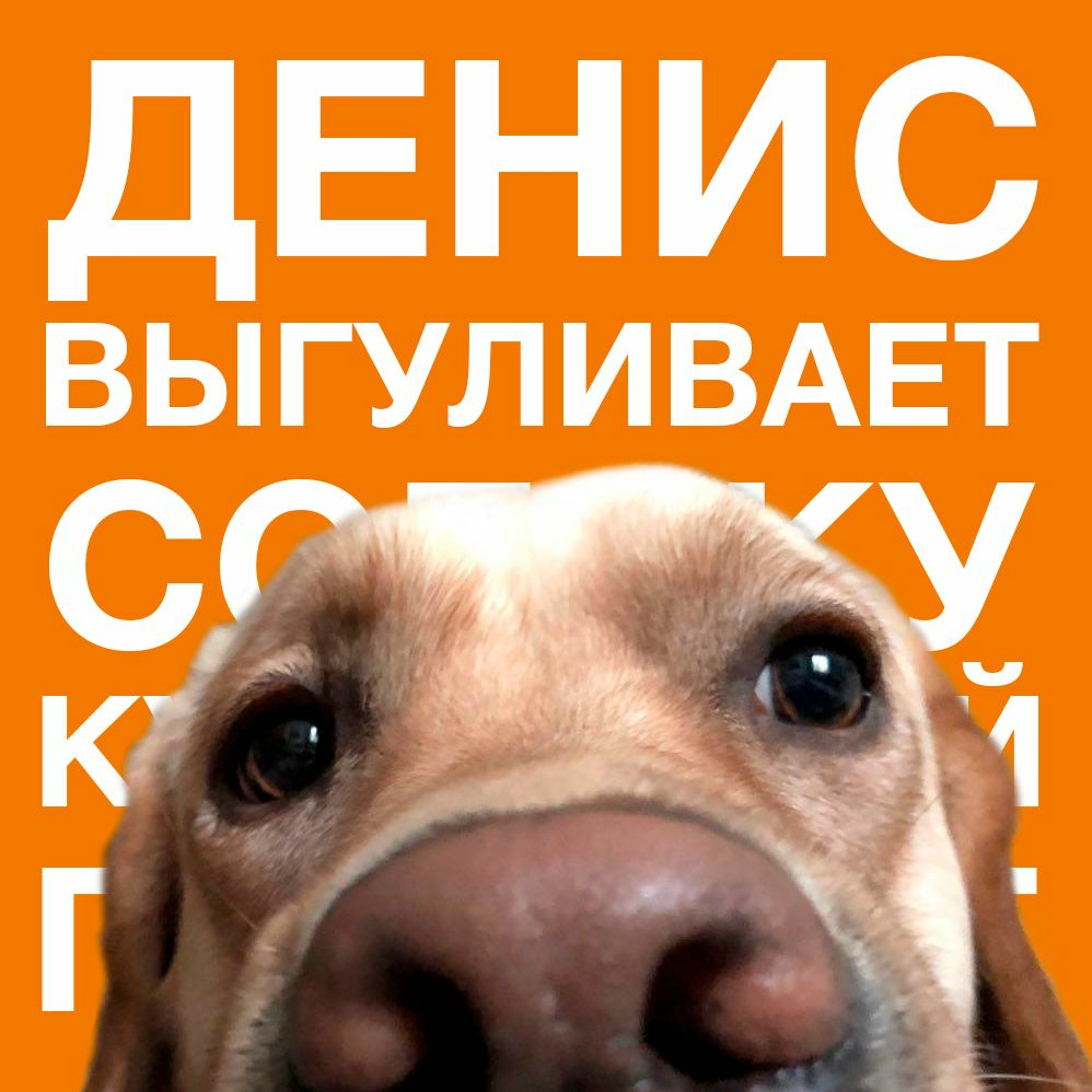 Без бумажки ты какашка podcast