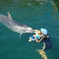Прекрасное далеко, не будь ко мне жестоко....