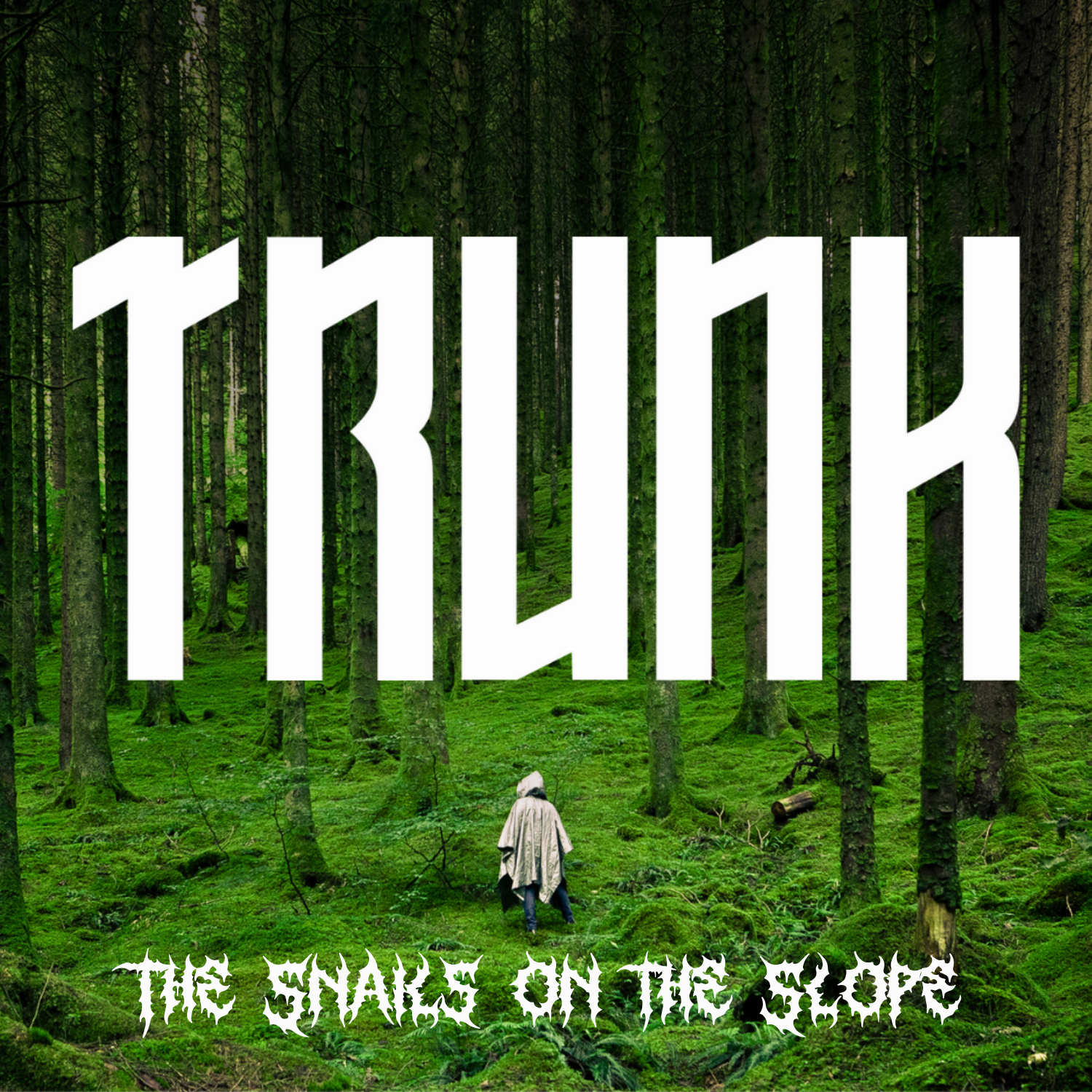 Улитки на склоне