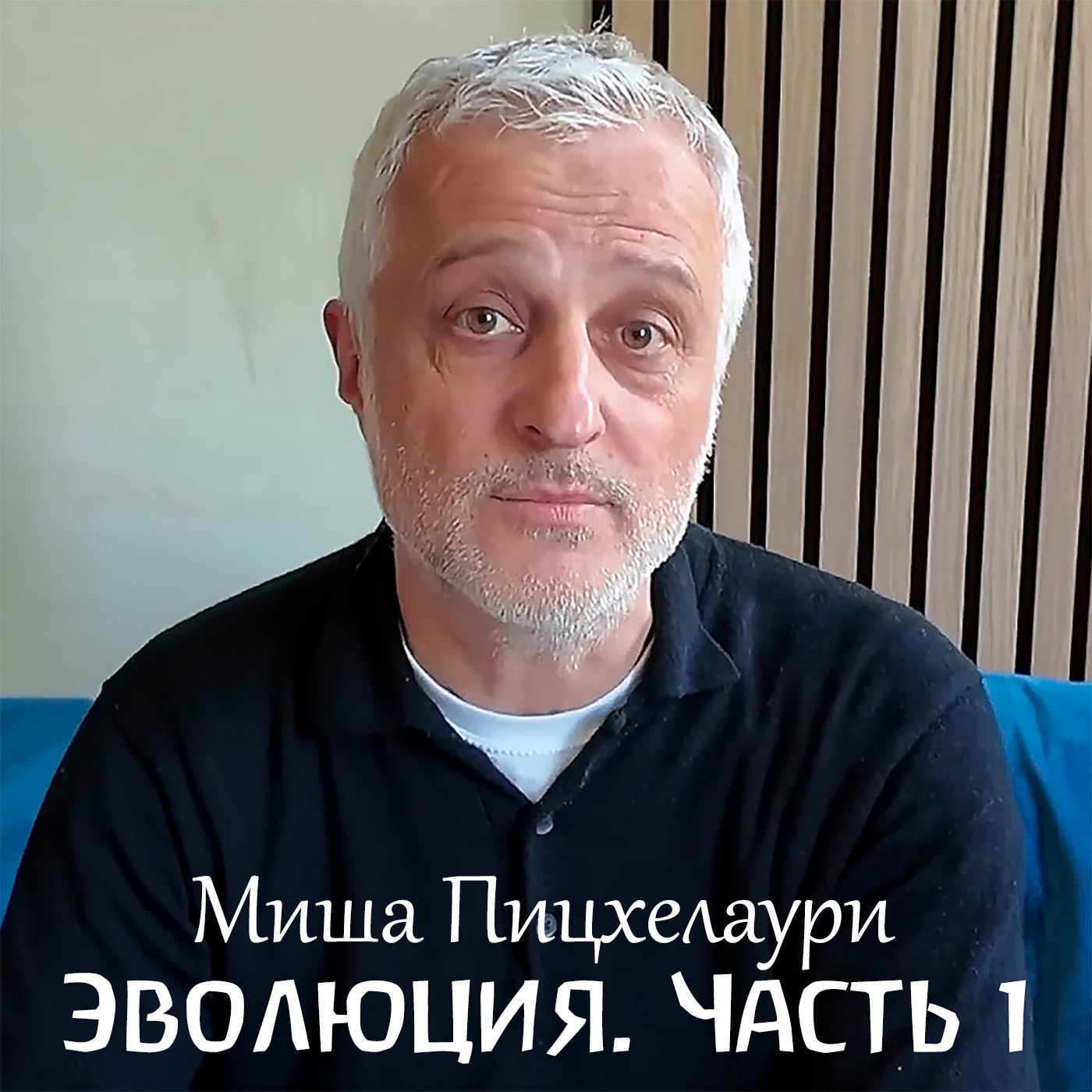 Беседы об эволюции. Часть 1. Миша Пицхелаури episode artwork