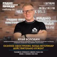 Осеннее обострение: когда ветеринар действительно нужен?