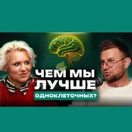 Игорь Мгеладзе | Философия, которой не учат в бизнес-школах | Зеленая миссия