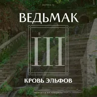 Выпуск 13: Ведьмак «Кровь эльфов»