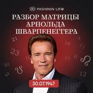 Разбор матрицы: Арнольд Шварценеггер. Цифровая Психология. Николай Пашинин