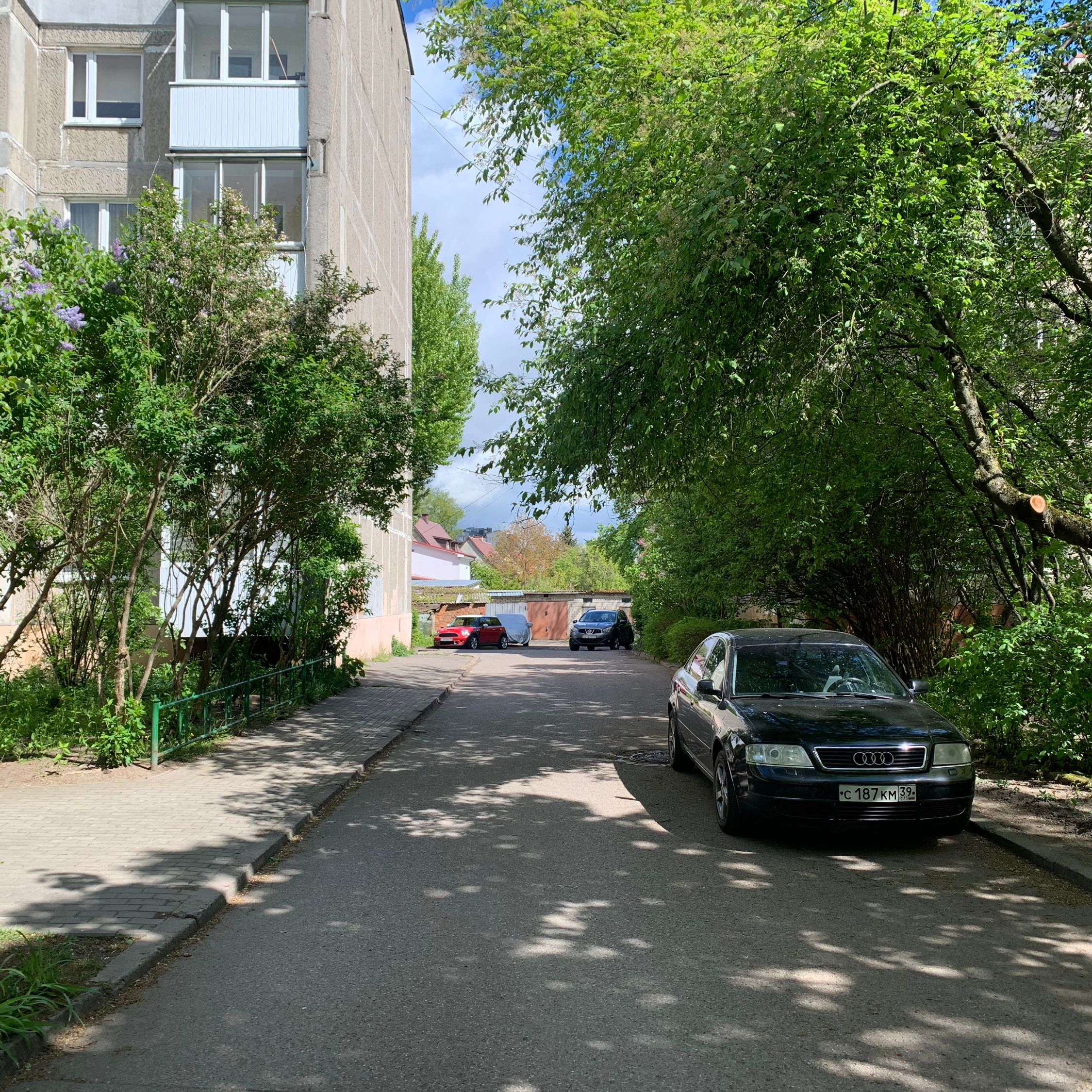 Загородный переулок: когда улица Островского была совсем молодой (и даже без домов) episode artwork