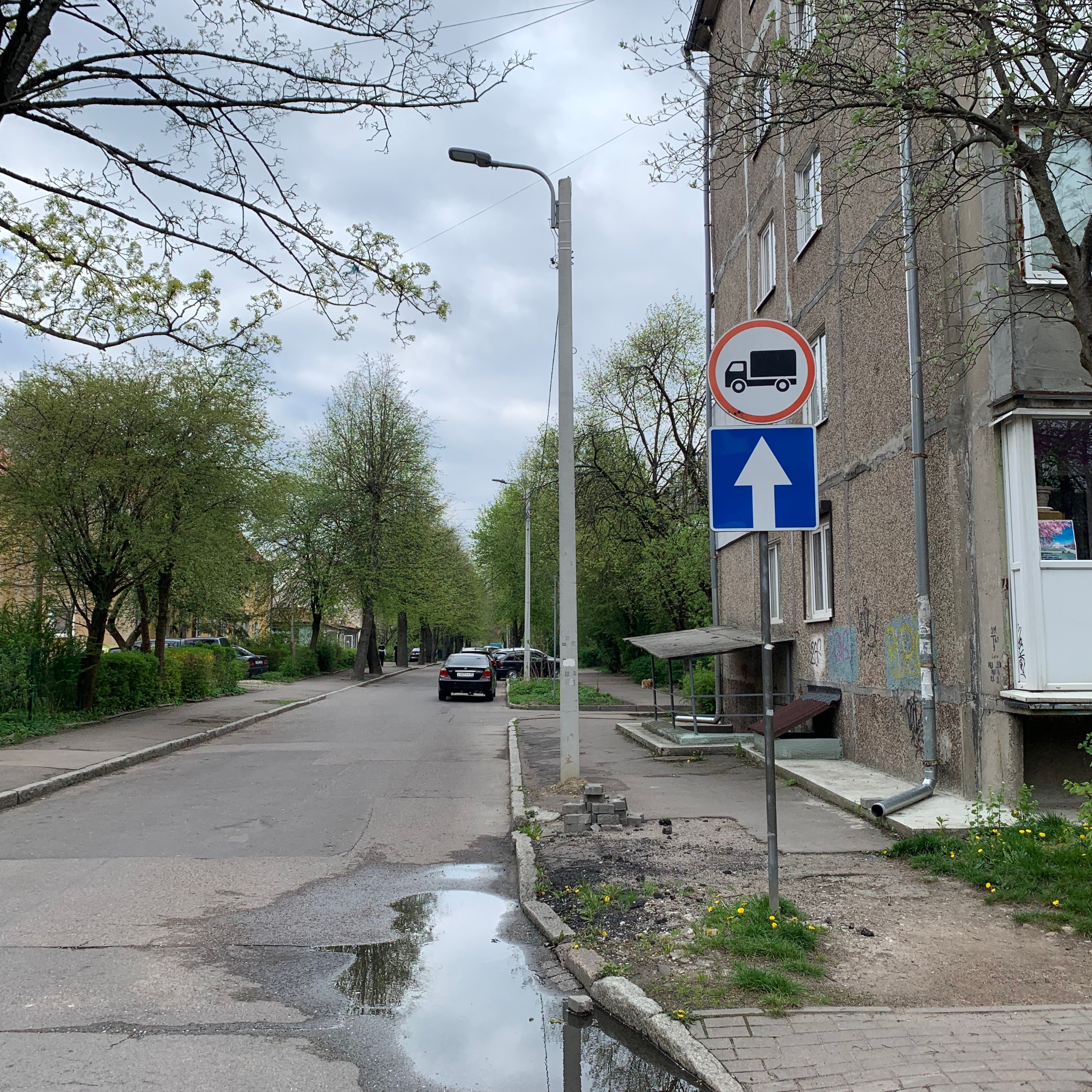 Авторемонтная улица: довоенный или послевоенный уют Малого Амалиенау (но и рынок) episode artwork