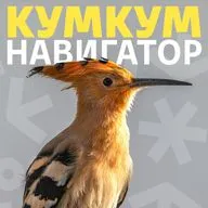 Память растений || Ботаник Сю Фрумин