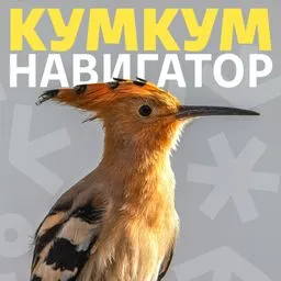 Кумкум. Навигатор