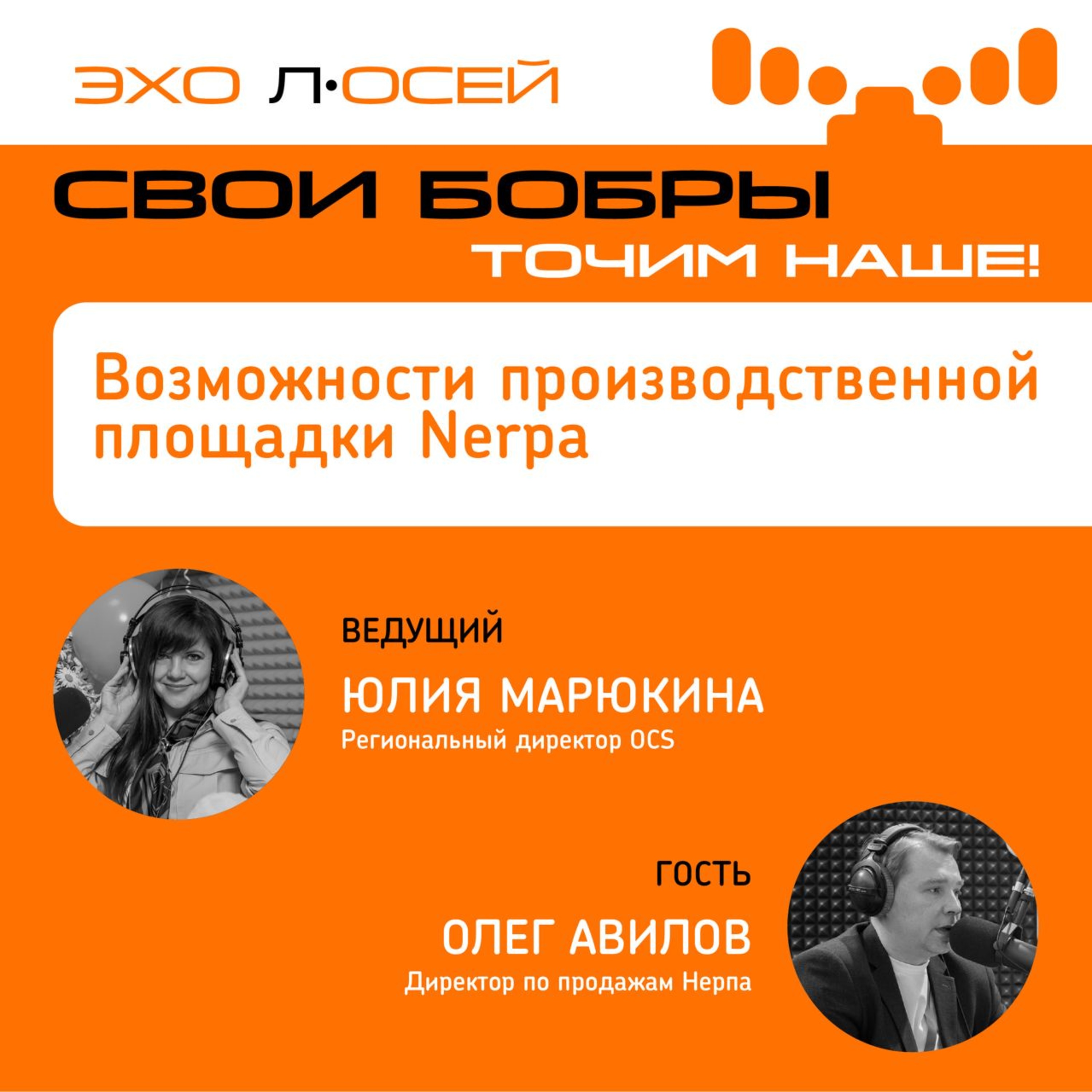 Свои Бобры. Точим наше: интервью с Олегом Авиловым, Директором по продажам Нерпа episode artwork