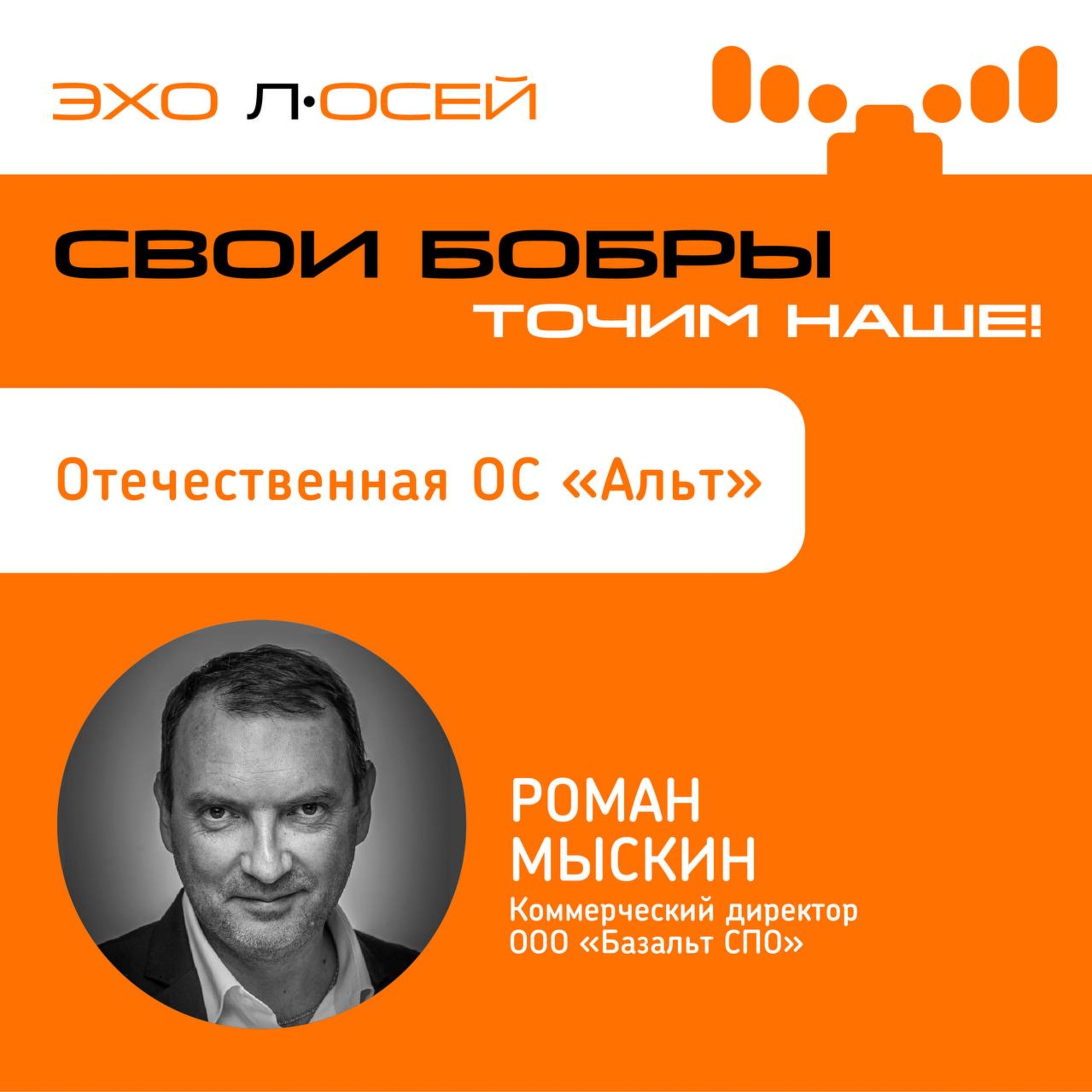 Свои Бобры. Точим наше: интервью с Романом Мыскиным, Коммерческим директором ООО "Базальт СПО" episode artwork