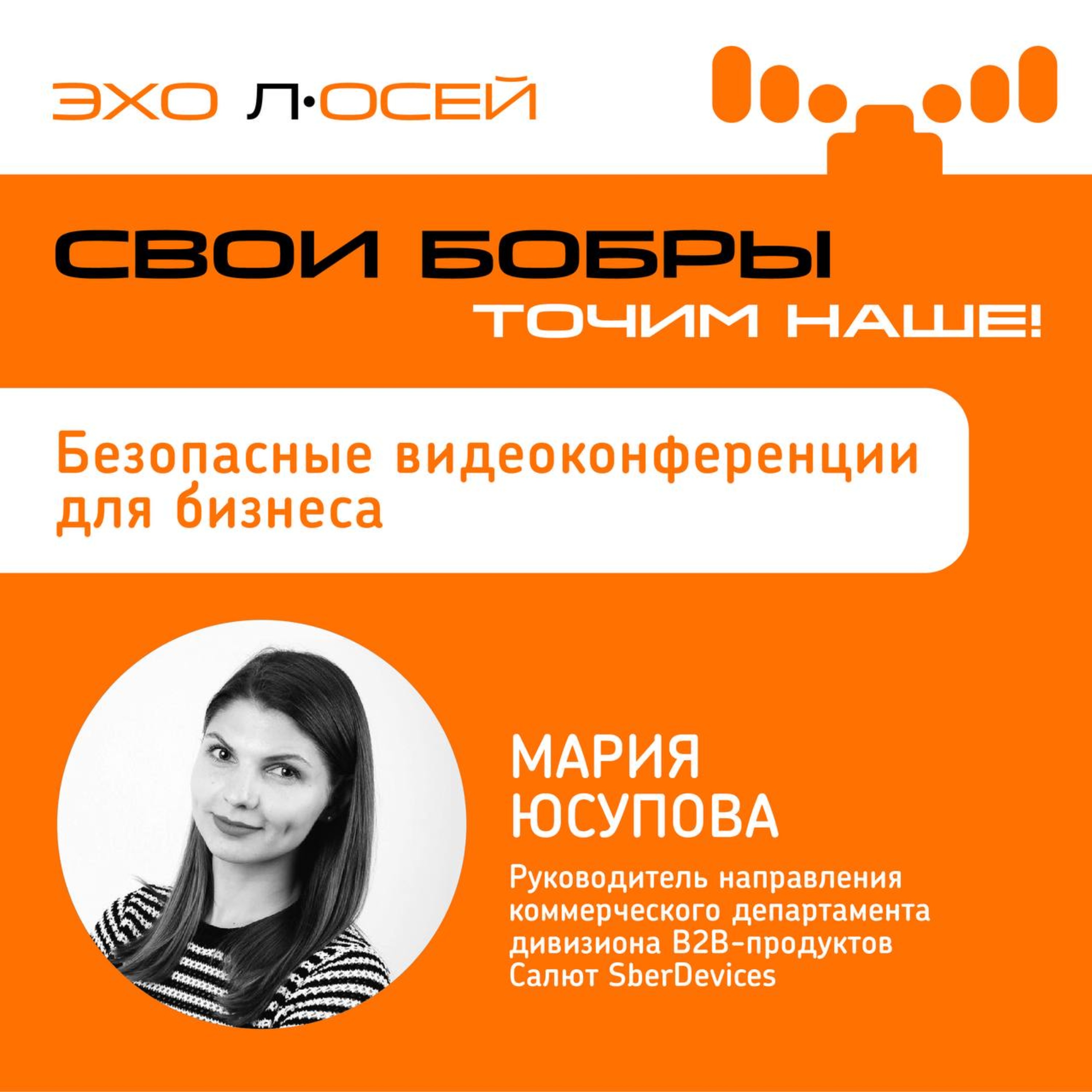 Свои Бобры. Точим наше: интервью с Марией Юсуповой, руководителем направления коммерческого департамента дивизиона B2B-продуктов Салют SberDevices episode artwork
