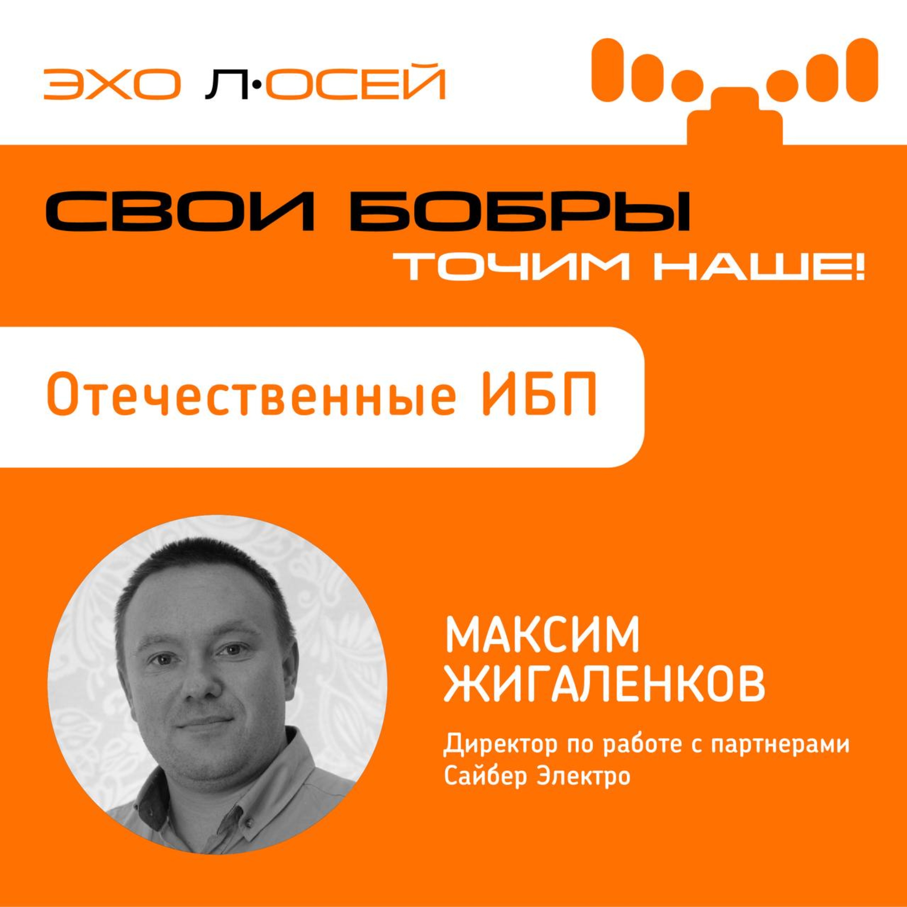 Свои Бобры. Точим наше: интервью с Максимом Жигаленковым, Директором по работе с партнерами Сайбер Электро episode artwork