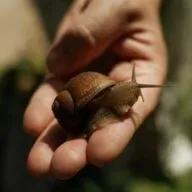 Павел Кузьмин — основатель улиточной фермы в станице Раевской