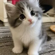 Что надо поправить в себе в первую очередь или история про базовые установки