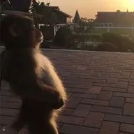 мда.