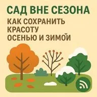 Сад вне сезона: как сохранить красоту осенью и зимой