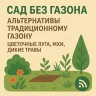 Сад без газона: новые горизонты зелени