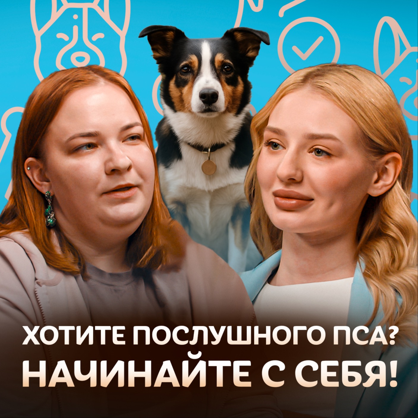 Почему собака не слушается? Кинолог о дрессировке собак / Догси подкаст #3 episode artwork