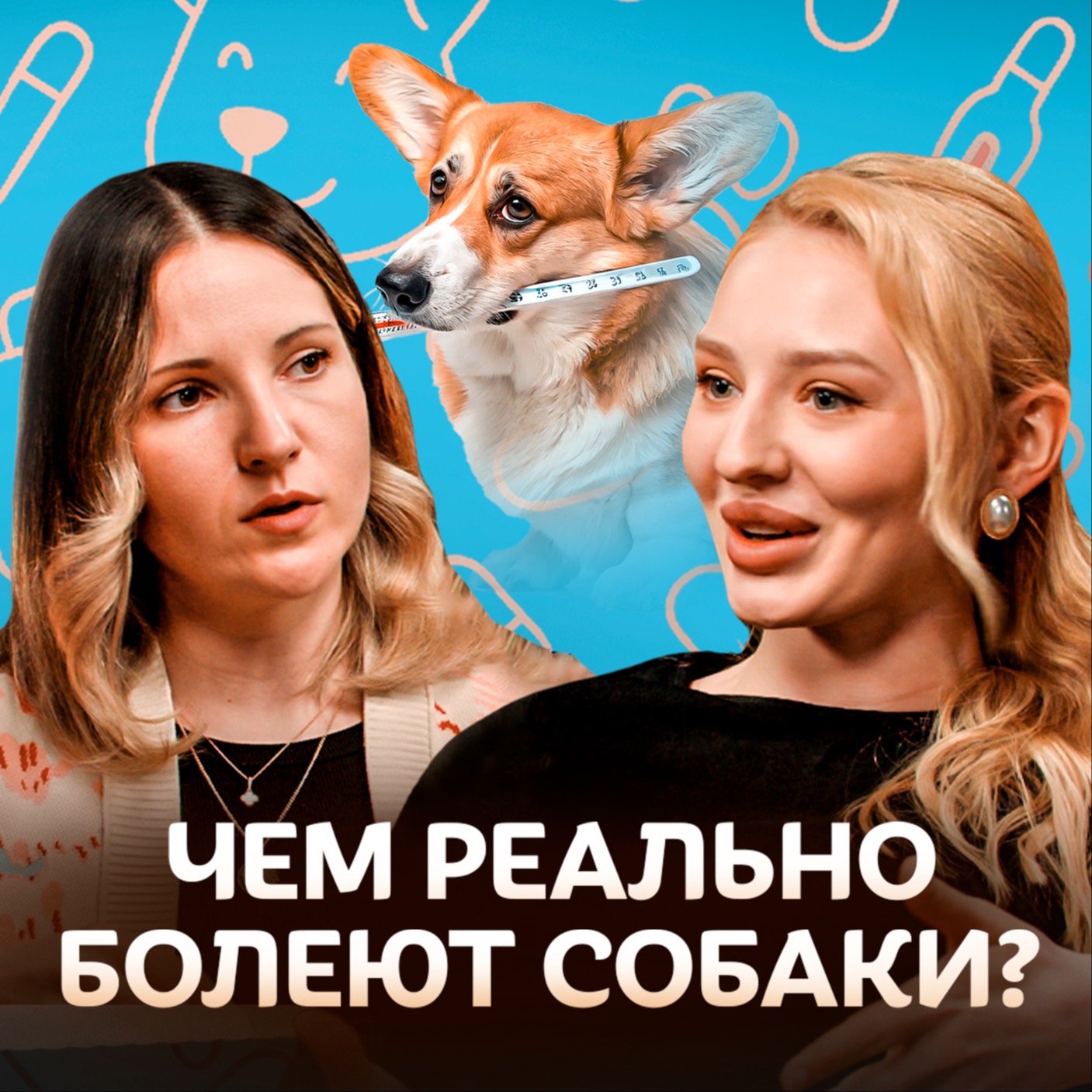 Чем реально болеют собаки? Ветеринар о профилактике и лечении болезней / Догси Подкаст #1 episode artwork