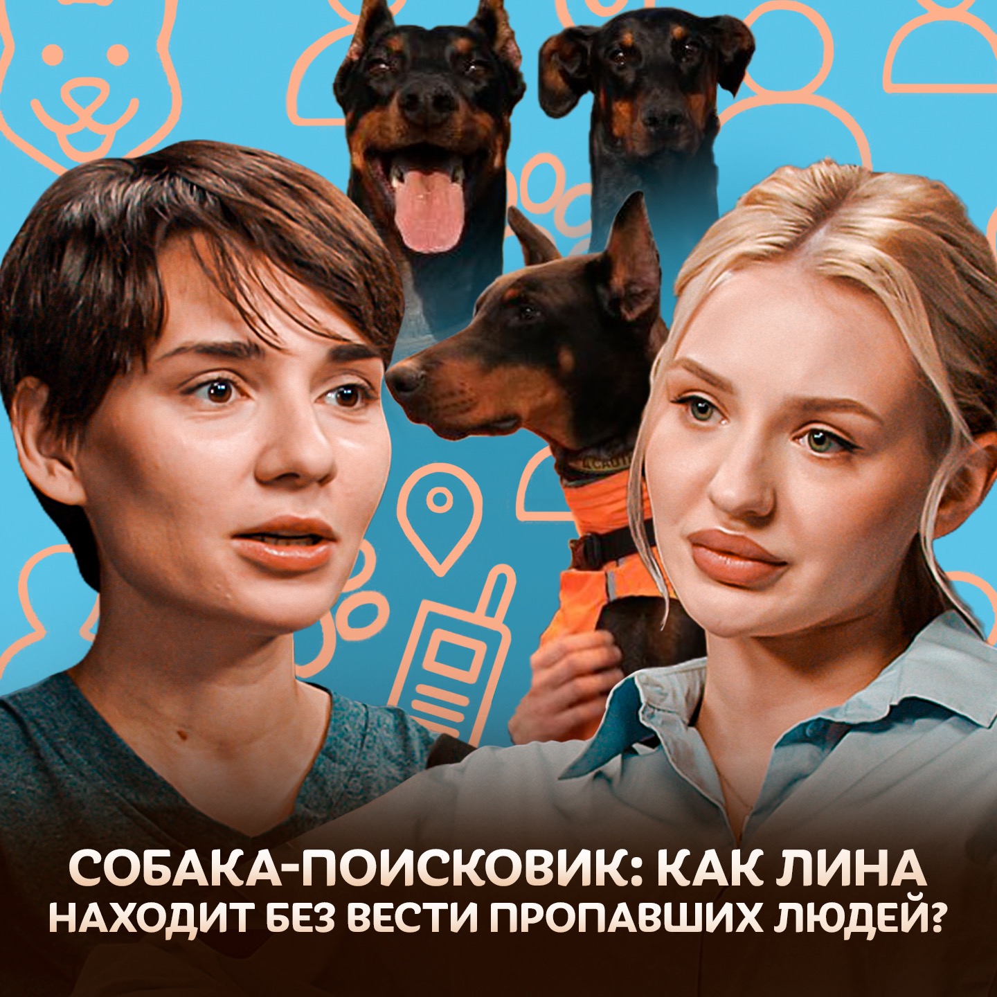 Собака-поисковик: Как Лина находит без вести пропавших людей? / Догси Подкаст #8 episode artwork
