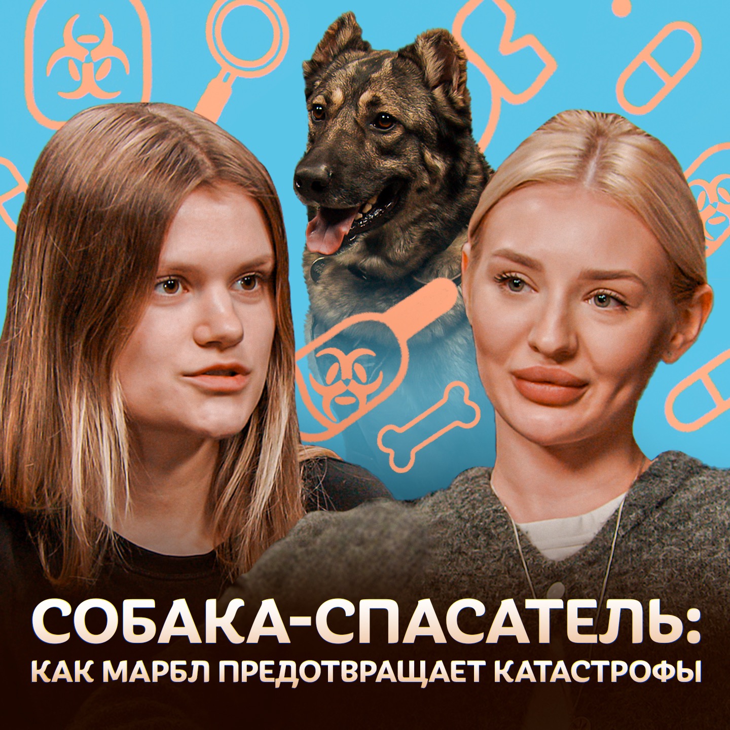 Собака-спасатель: Как собаки предотвращают катастрофы / Догси Подкаст #5 episode artwork