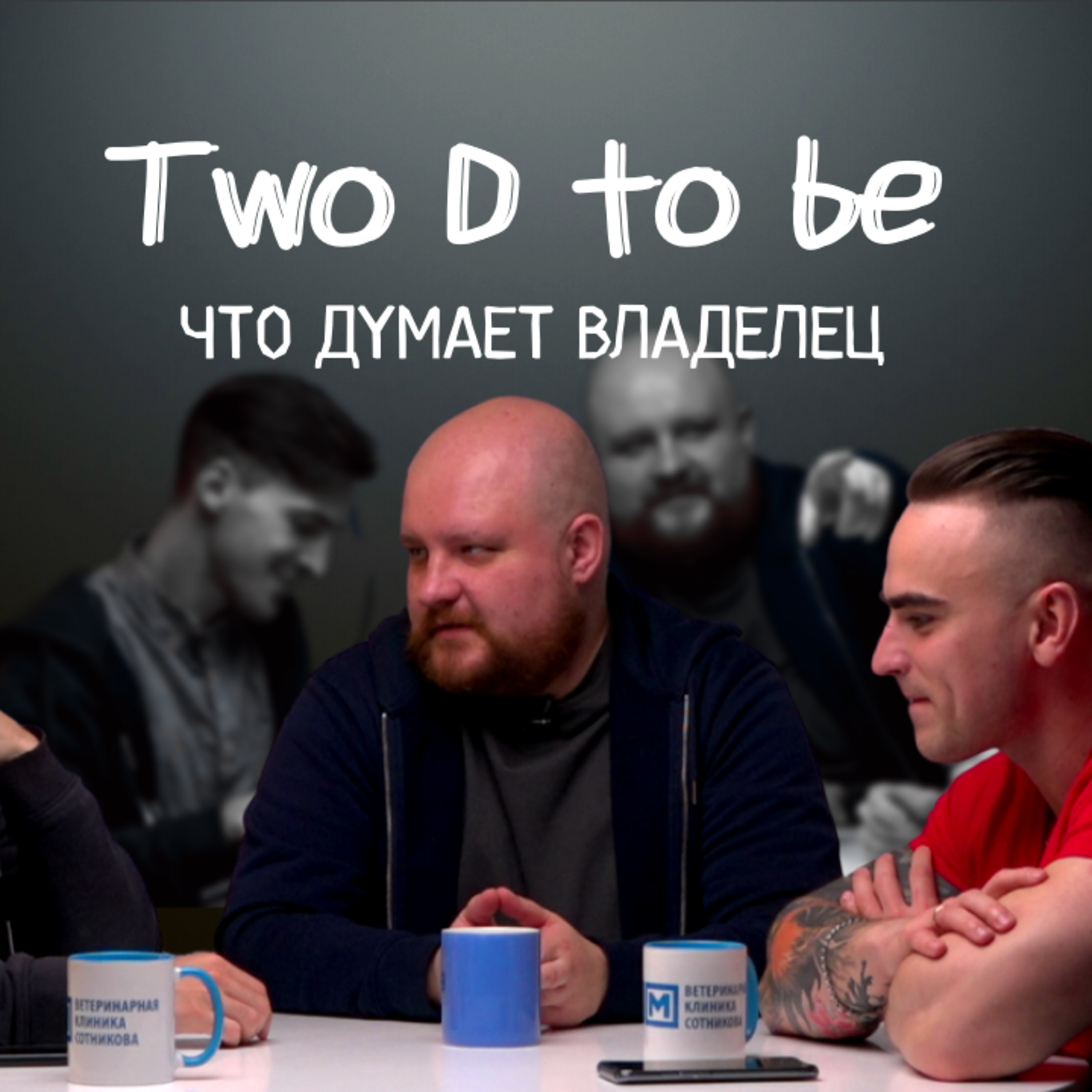 Two D to be О ветеринарии с владельцем episode artwork
