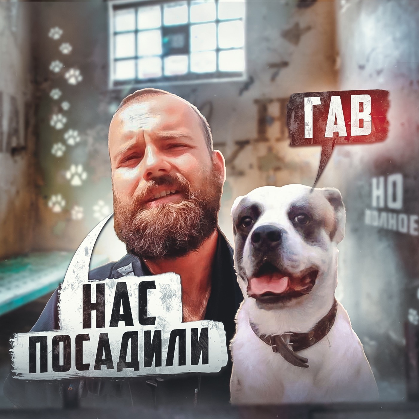 🇷🇸 СЕРБИЯ // Человек и пёс – арестовали обоих