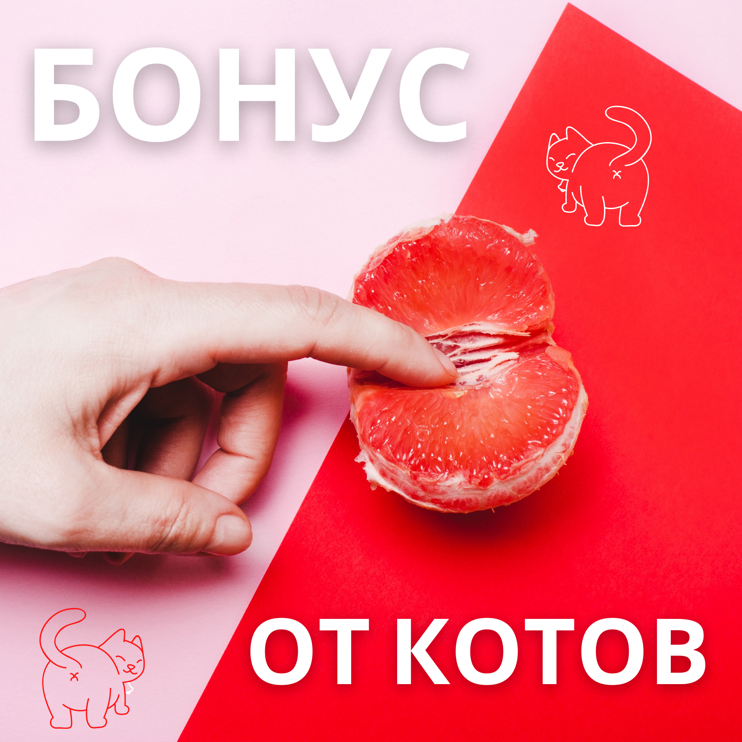 Бонус от Мартовских Котов. episode artwork