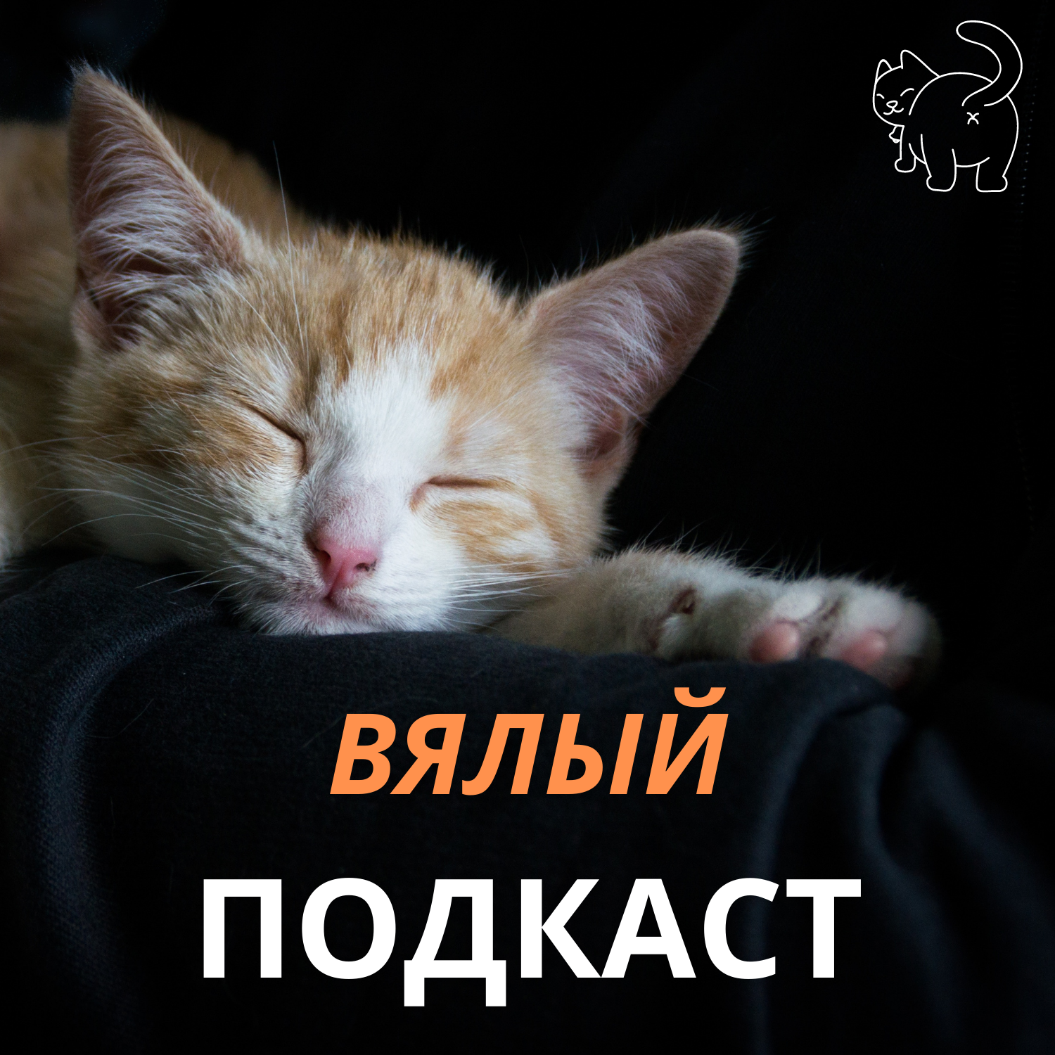 Вялый подкаст episode artwork