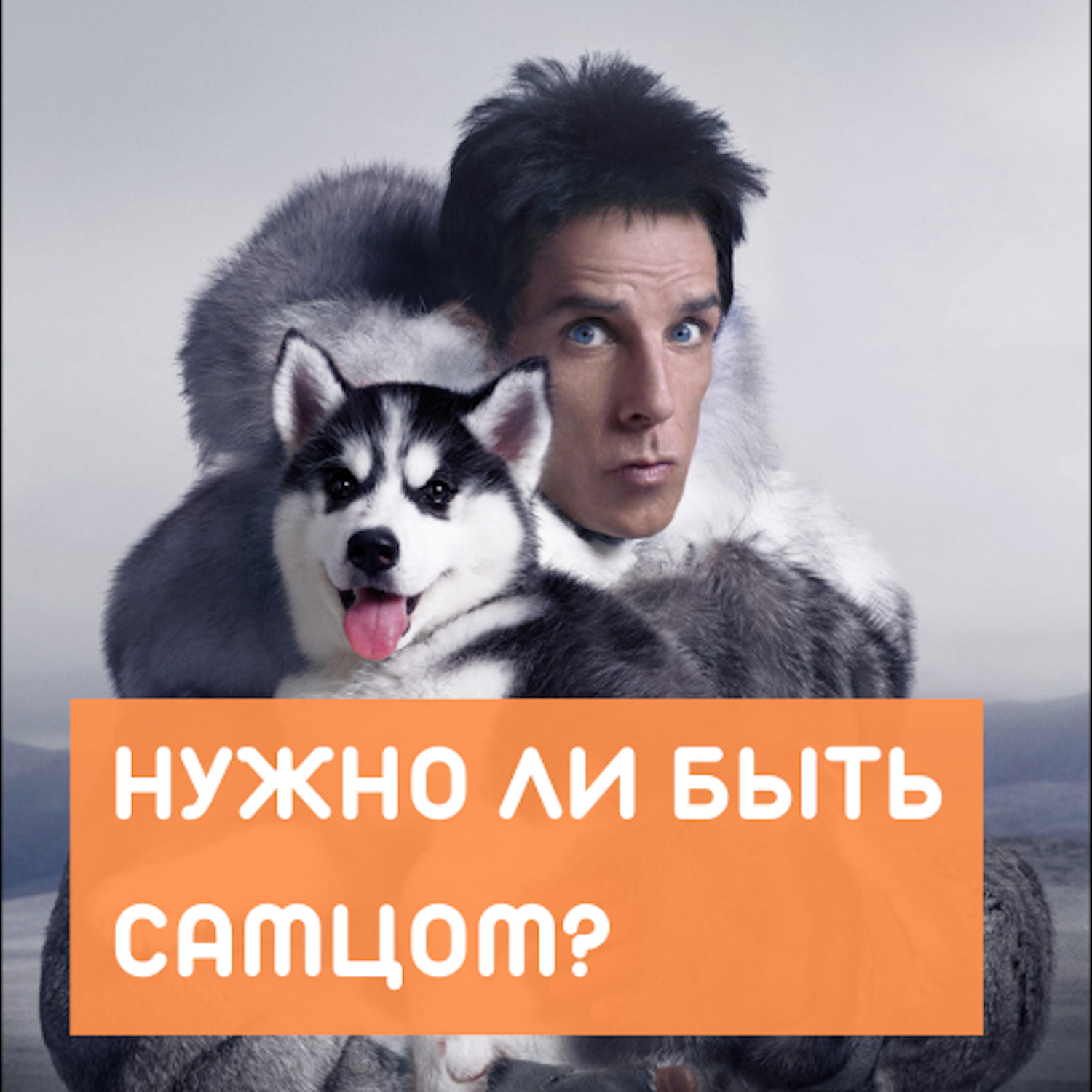 Нужно ли быть самцом в сексуальных отношениях? episode artwork