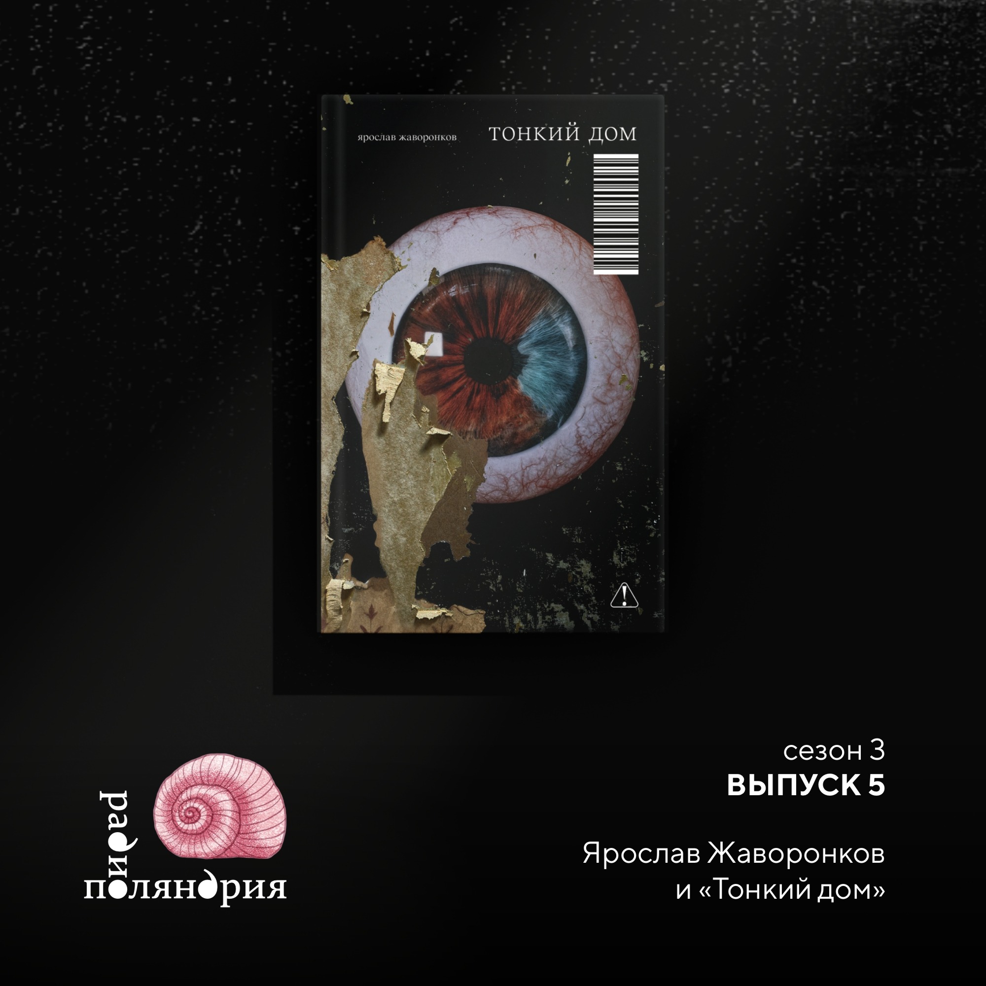 Ярослав Жаворонков и его роман «Тонкий дом» podcast