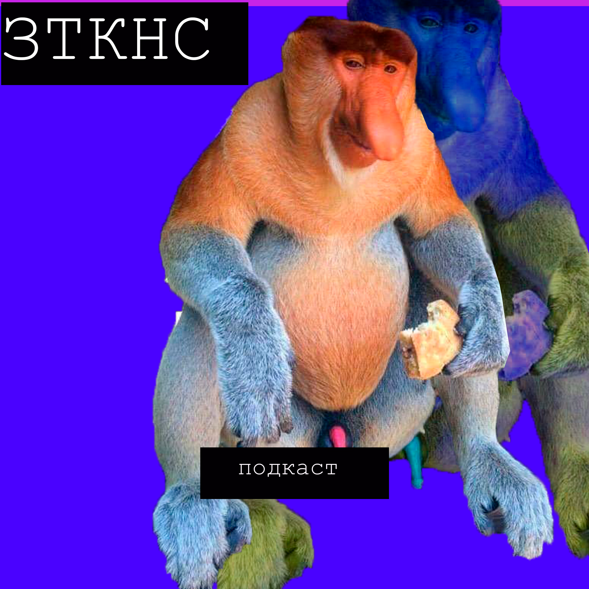 #113 - Носатая Обезьяна episode artwork