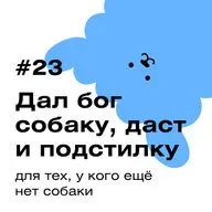 «Дал бог собаку, даст и подстилку» 🦮🐕 Для тех, у кого еще нет собаки