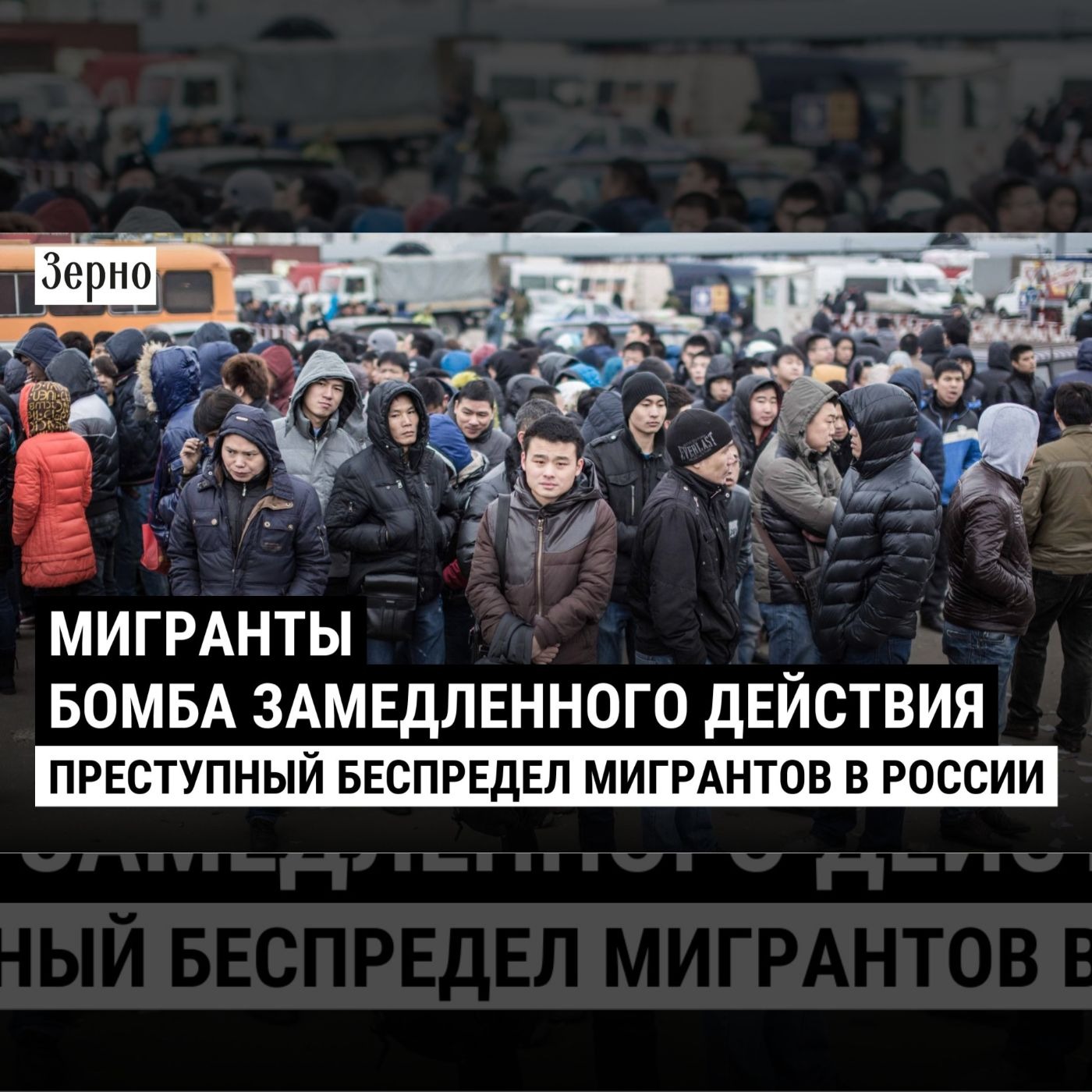 Мигрантский беспредел / Хроники этнических преступлений episode artwork