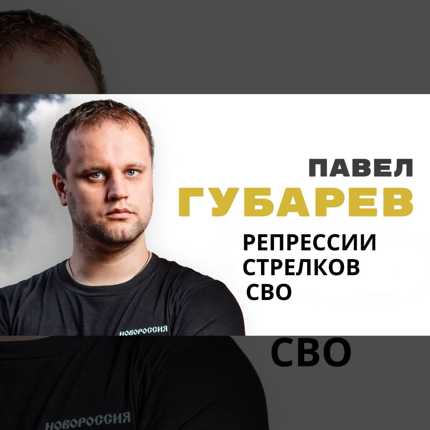 Арест Стрелкова, репрессии и СВО | Павел Губарев episode artwork